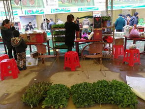 兩祁農(nóng)副特產(chǎn)展銷會(huì)今日開幕，五十余家企業(yè)攜名優(yōu)土特產(chǎn)齊聚一堂