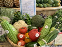 上林扶貧農(nóng)副產(chǎn)品展銷中心在南寧揭牌 架起產(chǎn)銷橋梁，助力鄉(xiāng)村振興