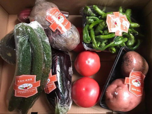 消費(fèi)扶貧涇陽在行動(dòng) 特色農(nóng)副產(chǎn)品展銷會(huì)亮相西安城