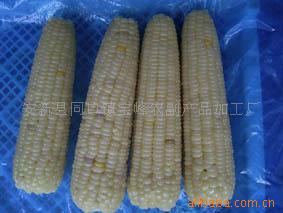 安新縣同口鎮(zhèn)寶峰農(nóng)副產(chǎn)品加工廠 助力鄉(xiāng)村產(chǎn)業(yè)振興的實(shí)踐者