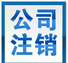 上海網(wǎng)絡(luò)服務(wù)公司的創(chuàng)新發(fā)展與市場價值
