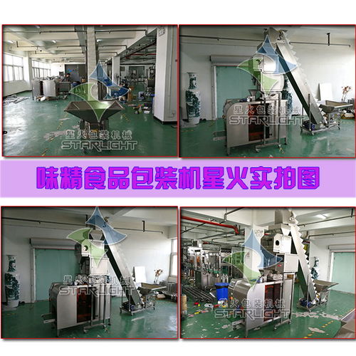 哈爾濱派克龍包裝機(jī)械股份 引領(lǐng)高效包裝新時(shí)代的全自動味精食品包裝機(jī)